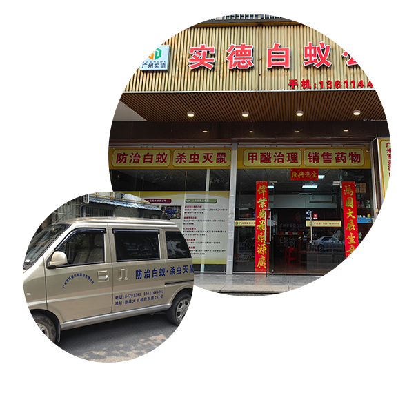专家热线：198-8633-8018